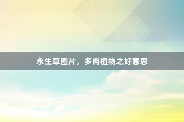 永生草图片，多肉植物之好意思