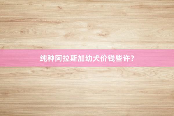 纯种阿拉斯加幼犬价钱些许?