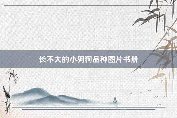 长不大的小狗狗品种图片书册