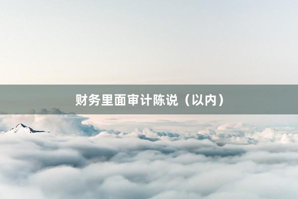 财务里面审计陈说（以内）